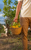 Pantalón Carreró Camel